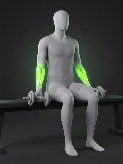 Dumbbell Wrist Curl