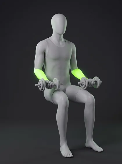 Reverse Dumbbell Wrist Curl