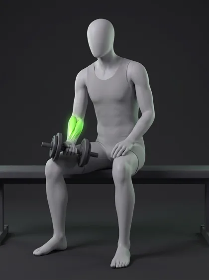Dumbbell Wrist Extension