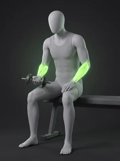 Dumbbell Wrist Rotation