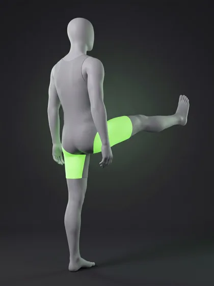 Dynamic Hamstring Leg Swings