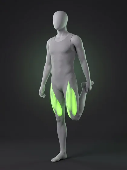 Dynamic Quad Stretch