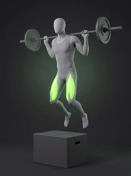 Explosive Barbell Box Squat