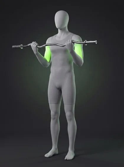 EZ-Bar Curl