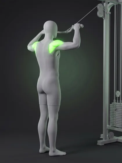 High Cable Face Pull