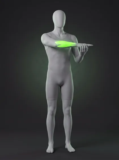 Forearm Extensor Stretch