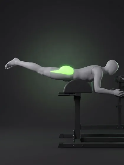 GHD Reverse Hyperextension