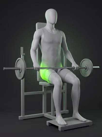 Machine Hip Thrust