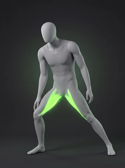 Half-Kneeling Adductor Stretch