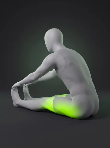 Seated Hamstring Stretch (bodyweight)