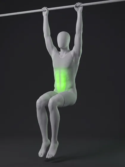 Hanging Knee Raise