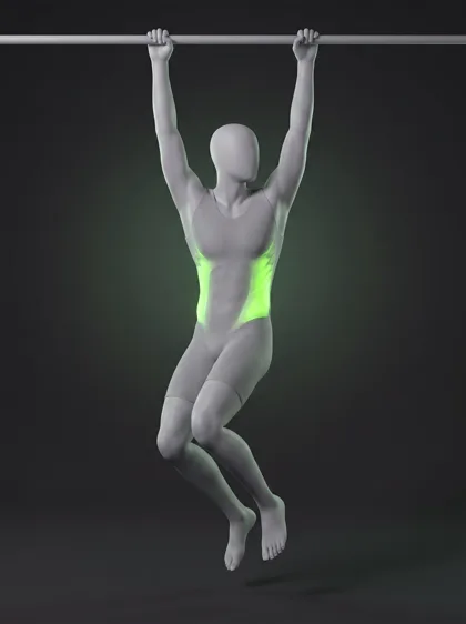 Hanging Oblique Knee Raise
