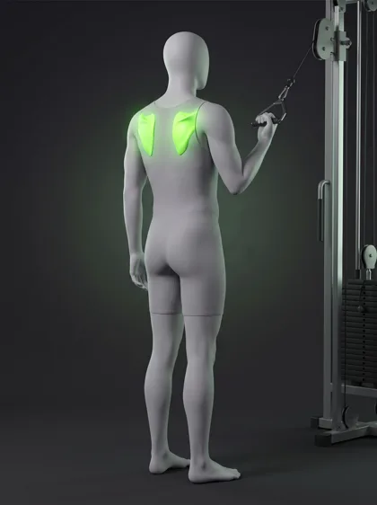 High Cable External Rotation