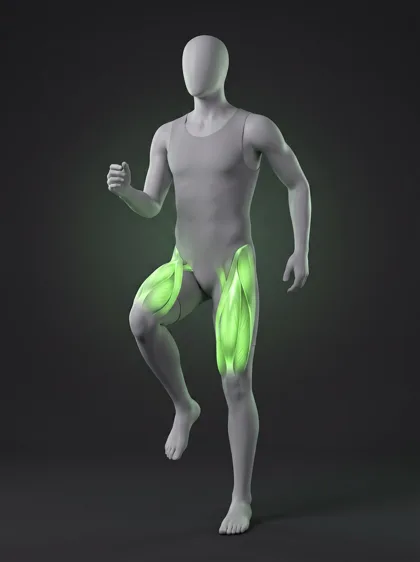 High Knees