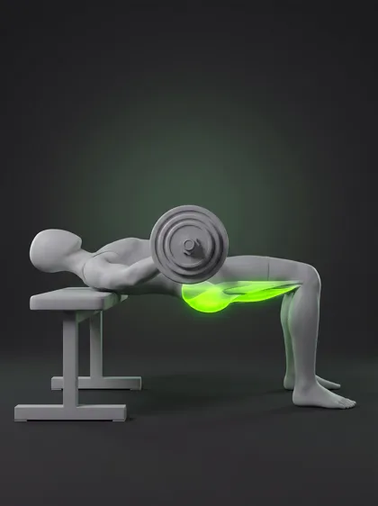 Barbell Hip Thrust