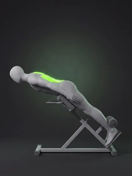 Roman Chair Hyperextension