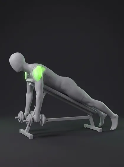 Incline Reverse Fly