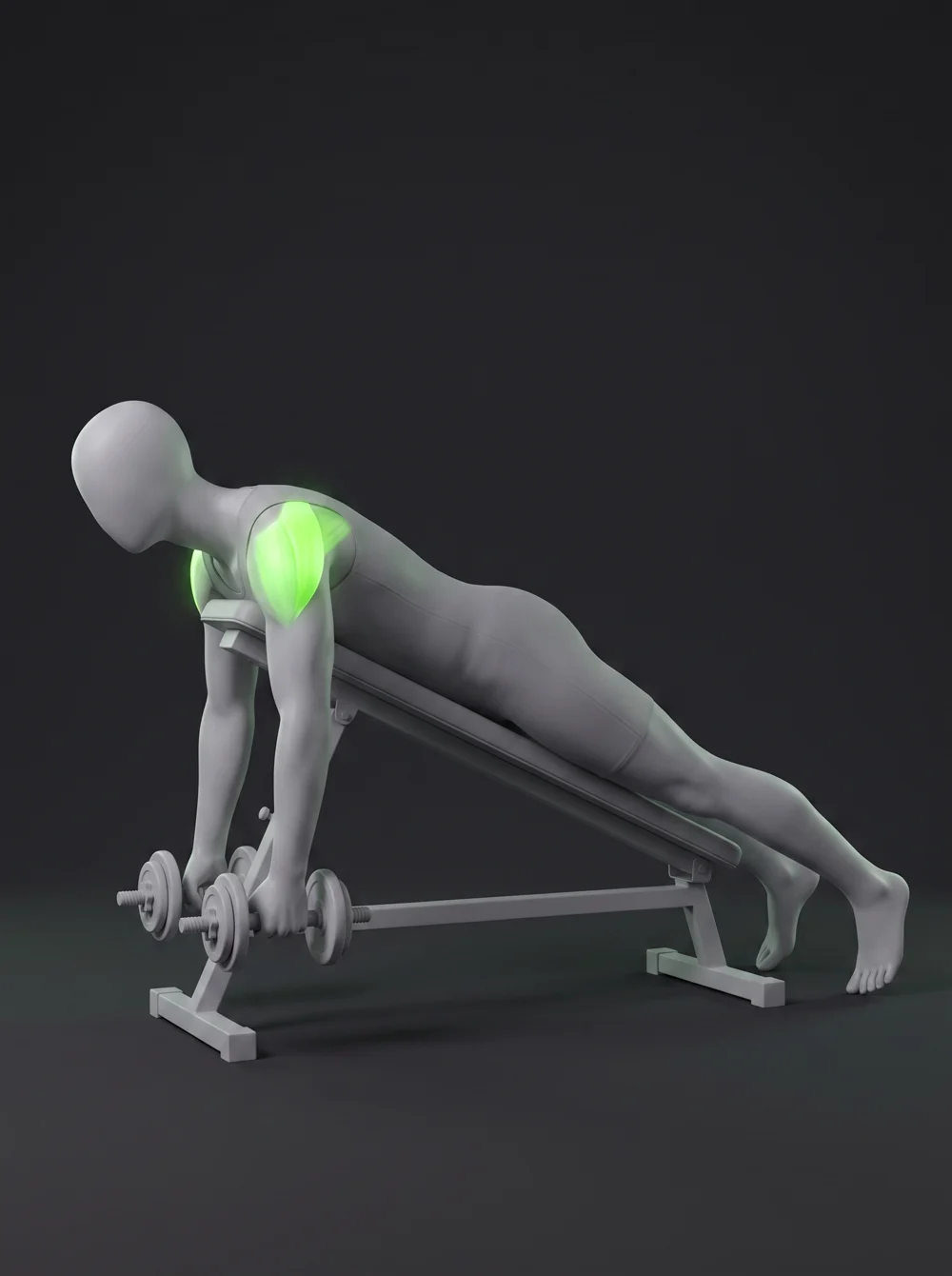 Incline Reverse Fly