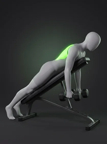 Incline Reverse-Grip Dumbbell Row
