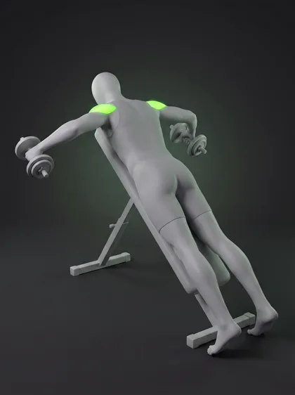 Incline Dumbbell Reverse Fly