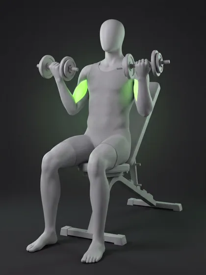Incline Dumbbell Hammer Curl