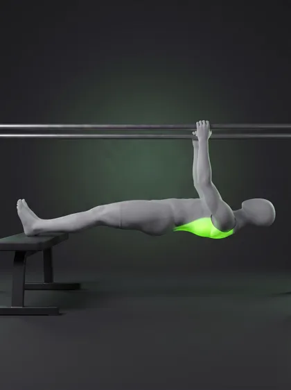 Bench Inverted Row