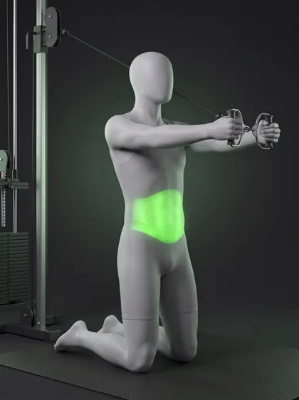 Kneeling Cable Anti-Rotation Press