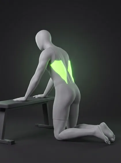 Kneeling Lat Stretch