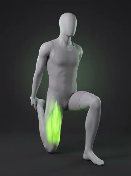 Kneeling Quad Stretch