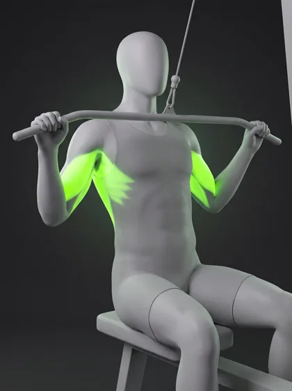 Lat Pulldown