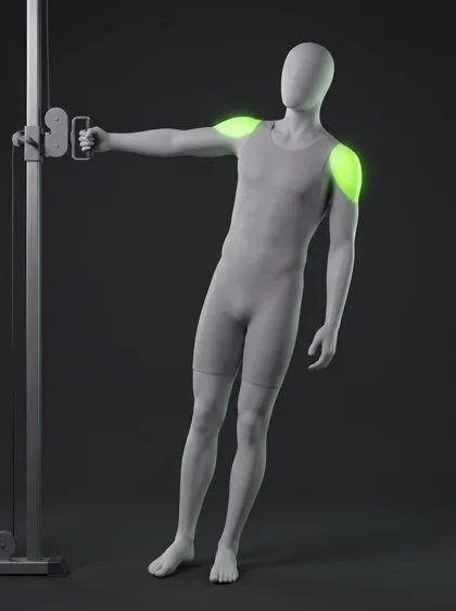 Leaning Cable Lateral Raise