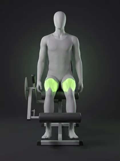 Leg Extension