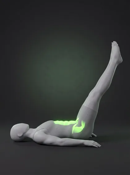Lying Leg Raise