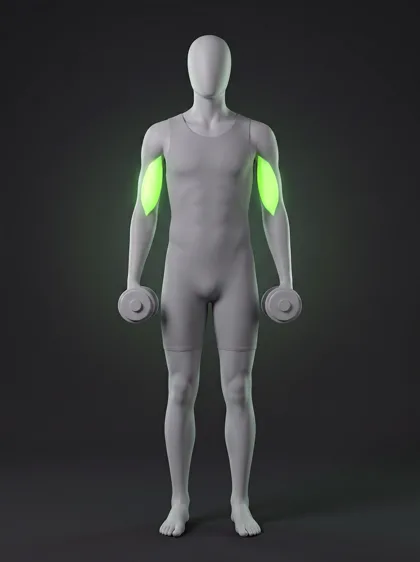 Light Biceps Curl