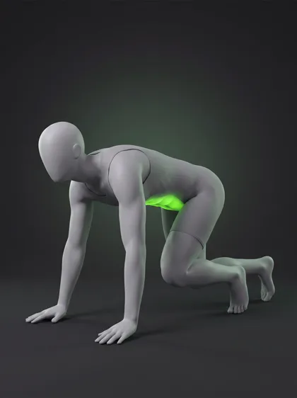 Lizard Crawl