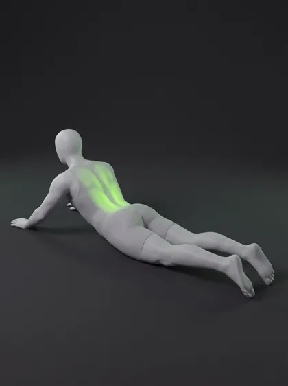 Locust Pose