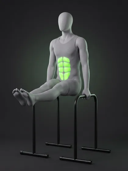 Parallette L-Sit Hold