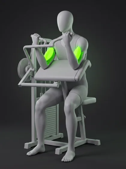 Machine Biceps Curl
