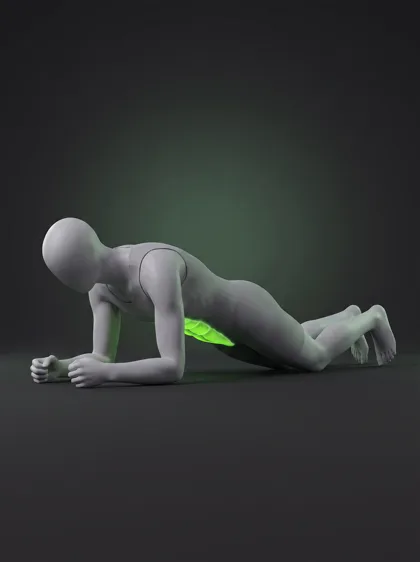 Kneeling Plank