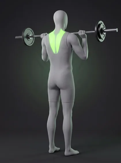 Muscle Clean