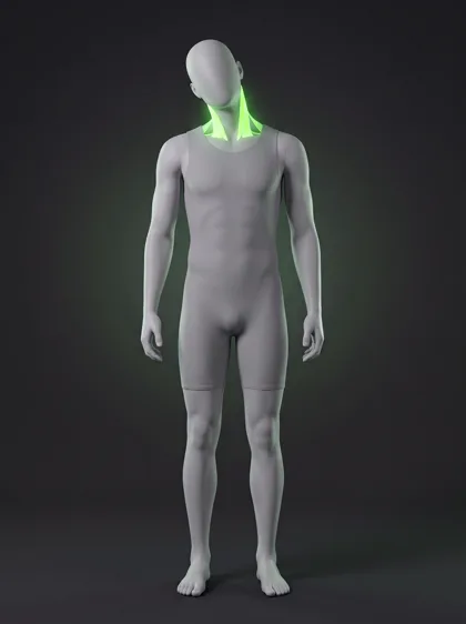 Neck Side Bends