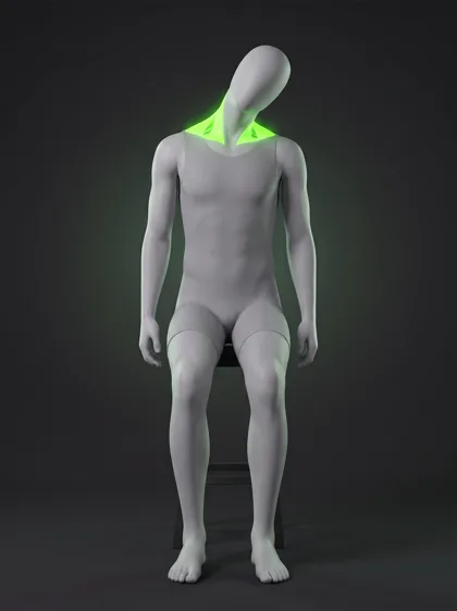 Neck Stretch