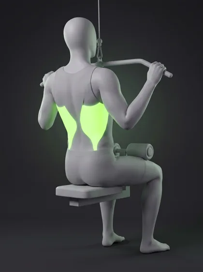 Neutral-Grip Lat Pulldown