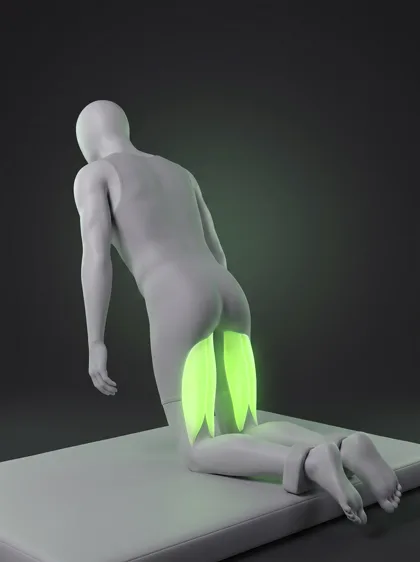 Nordic Hamstring Curl (partner / anchor)