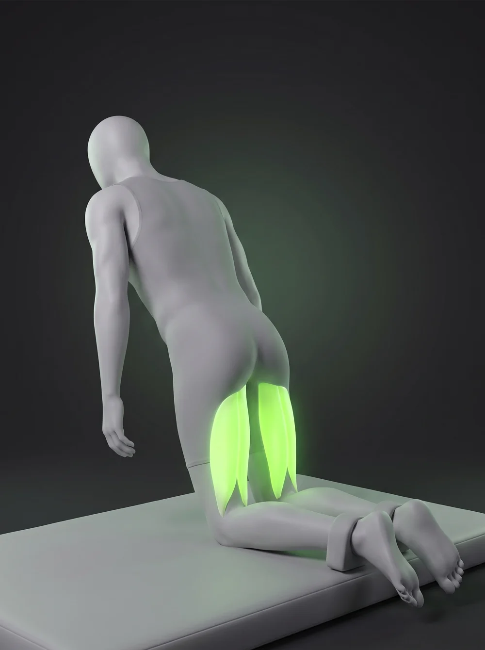 Nordic Hamstring Curl (partner / anchor)