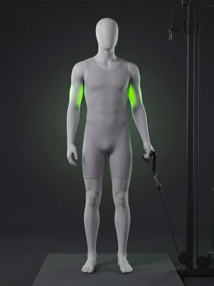 Single-Arm Cable Triceps Extension