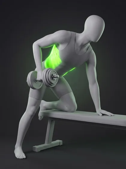 One-Arm Dumbbell Row