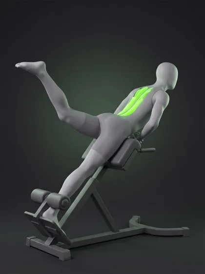 Single-Leg Back Extension (hyperextension bench)