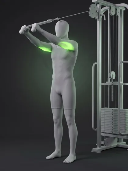 Overhead Cable Triceps Extension
