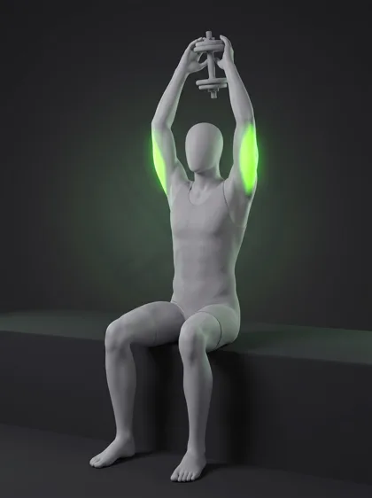 Overhead Dumbbell Triceps Extension